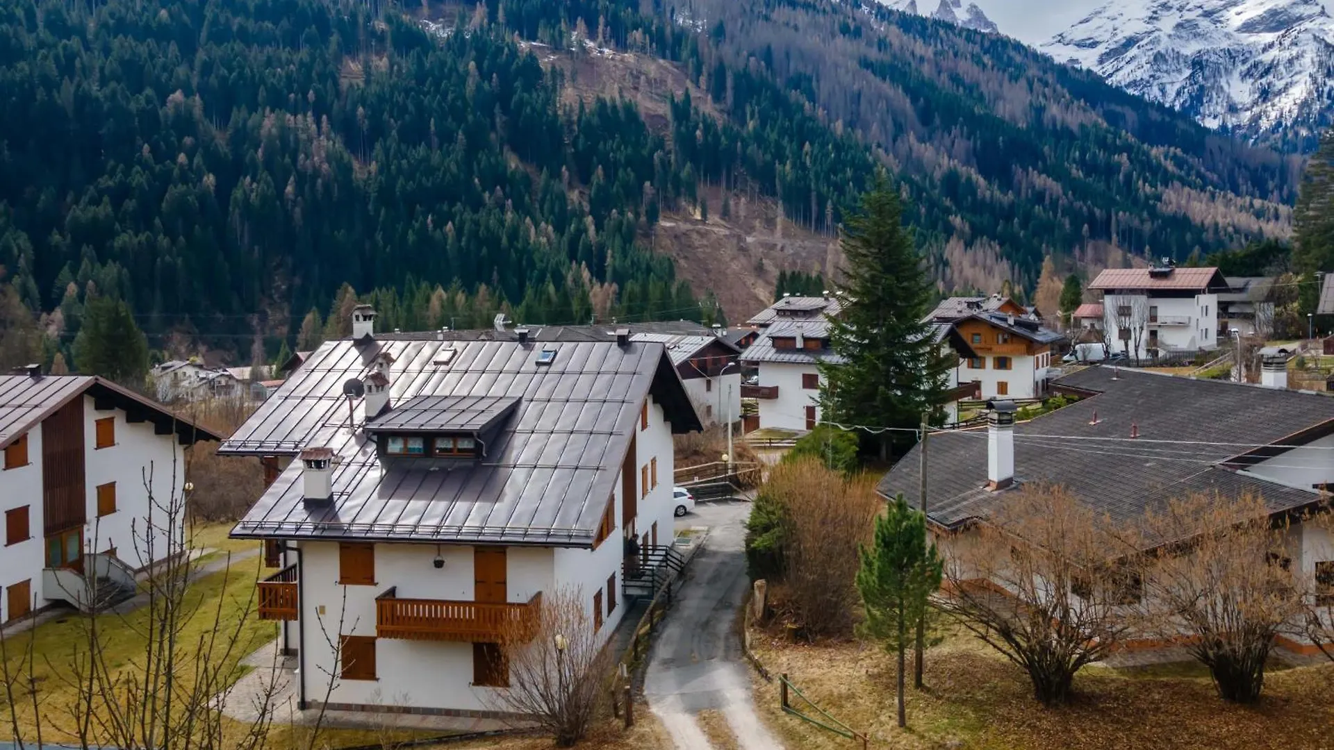 Alpe Verde Falcade 0*,  Italy